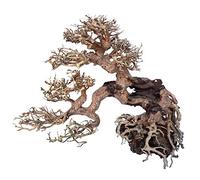 Amtra Legno Oriental Wind 7 Decoración de Acuario Hecha a Mano, para Acuarios de Agua Dulce, 25 x 10 x 20 cm