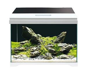 Amtra Modern Tank 40 Led / Acuario Completo Con Iluminación Led Y Filtro Interno / 42,5X23,5X36,5 Cm / 28 Litros