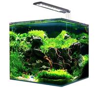 Amtra Nanotank Cubo System Tanque + Led y Filtro 30 L (30X30X35Cm) 1 Unidad 7200 g
