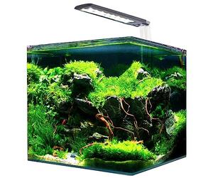 Amtra Nanotank Cubo SystemTanque + Led y Filtro, 20 L (25X25X30Cm) 1 Unidad 5100 g