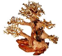 Amtra - Oriental Wind 4 Madera, Hecho A Mano, Para Acuario, 23X10X17 Cm