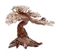 Amtra - Oriental Wind 5 Madera, Hecho A Mano, Para Acuario, 30X10X20 Cm