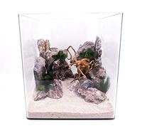 Amtra Technik Nanotank 60 - Cubierta para acuario (60 unidades, cristal panorámico, cubo de agua dulce)