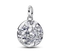 Amuefer S925 Hybrid Series 2 compatible con pulseras Pandora. Un regalo para mujeres, madres e hijas en cumpleaños, aniversarios, día de la madre y San Valentín., uno que es, Plata de ley, Circonita