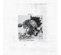 Amulets Rem(a)inders (Vinyl) 12" EP (Importación USA)