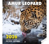 Amur Leopard 2026 Calendar: Rare Big Cats in Their Natural Habitat