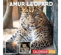Amur Leopard Calendar 2026: Rare and Elusive Big Cats in the Wild