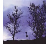 Amusement Parks on Fire - Out of Angeles -