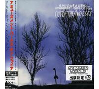 Amusement Parks on Fire - Out of Angeles (+Bonus)