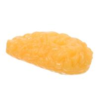 AMUSLESUR Modelo Anatómico de Grasa Humana para Clases de Anatomía y Fisiología Tejido Adiposo Realista de Material Suave Tamaño Mediano Herramienta Didáctica Portátil para Formación