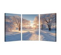 AMXBZC 3Pcs Cuadros Decoracion Salon Modernos Paisaje invernal del bosque Arte Impresión Decoración -Dormitorios Comedor Oficina Pasillo Cocina Y Baño（Blanco-30x45cmx3 Enmarcado