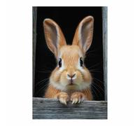 AMXBZC cuadros de animales para habitación infantil Conejo marrón adorable decoración para habitación de bebé, niño y niña, póster animales del bosque（Brown-40x60cm Sin marco