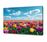 AMXBZC Decoración Salón Cuadros de Plantas Paisajes naturales coloridos Póster Vintage Láminas Hojas Verdes - flores póster de pared para dormitorio（Rojo-30x40cm Enmarcado