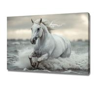 AMXBZC Laminas Decorativas animales safari africano Animales marinos modernos Habitacion Bebe Impresión en Lienzo, Cuadros para Sala de estar Baño Corredo（Grey-60x90cm Enmarcado