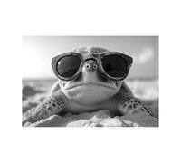 AMXBZC Moderna Abstractos Cuadros Playa, animales adorables Salon Baño PóSter De Lienzo ImpresióN DecoracióN NóRdica Oficina Arte De Pared Pintura（gris-50x70cm Sin marco