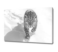 AMXBZC moderna cuadros abstractos Leopardo de la naturaleza invernal Salón Comedor póster de lienzo, impresión decoración nórdica arte de pared pintura（gris-50x70cm Enmarcado