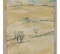 Amy Duncan - Wake [Vinilo]