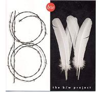 Amy Grant, Becky Thurman, Gary Chapman, Michael W. Smith, Brown Bannister, Rich Mullins - The b/w Project (UK Import)
