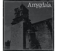 Amygdala - Our Voices Will Soar Forever