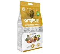 Amykus Grain Free Turkey 3 kg | Alimento Completo Sin Cereales con Pavo para Perros Adultos | Alta Digestibilidad y Fórmula Premium para Intolerancias Alimentarias