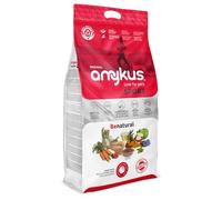 Amykus Original Sport | Pienso para Perros Activos 3 kg | Receta con Pollo y Pavo | Alto en Proteínas y Energía | Cuida Las Articulaciones