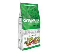 Amykus Original Vegan 12,5 kg | Pienso 100% Vegetal para Perros Adultos | Alimento Completo sin Carne ni Derivados Cárnicos | Sin Pesticidas ni Grasas Animales