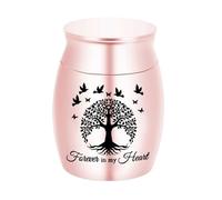 AMYSTY Urna Cenizas Recuerdo Urnas Pequeñas Conmemorativas para Mascotas para Cenizas De Perros Y Gatos,Mini Urna Cremación Acero Inoxidable, Recuerdo para Funerarias Decorativa(E)