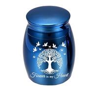 AMYSTY Urna Cenizas Recuerdo Urnas Pequeñas Conmemorativas para Mascotas para Cenizas De Perros Y Gatos,Mini Urna Cremación Acero Inoxidable, Recuerdo para Funerarias Decorativa(C)