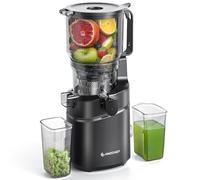 AMZCHEF Extractor de Zumo Automático Multifuncional de 250W, 150MM de Apertura, Exprimidor de Frutas y Verduras de 2 Litros con Triple Filtro - Negro