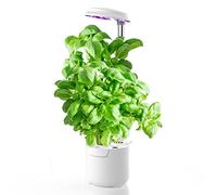 amzWOW Dafne Smart Garden, Kit de Cultivo Interior con Luz de Crecimiento LED de Espectro Completo de autorriego, Altura Ajustable y Temporizador automático - huerto Interior (Blanco)