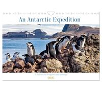 An Antarctic Expedition (Wall Calendar 2026 DIN A4 landscape), CALVENDO 12 Month Wall Calendar: Visiting the icebergs, penguins and amazing landscapes of Antarctica