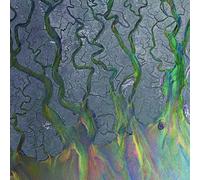 alt-J - An Awesome Wave [Vinilo]