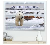 AN DER HUDSON BAY (hochwertiger Premium Wandkalender 2026 DIN A2 quer), Kunstdruck in Hochglanz: Expedition in die kanadische Provinz Manitoba