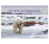 AN DER HUDSON BAY (Tischkalender 2026 DIN A5 quer), CALVENDO Monatskalender: Expedition in die kanadische Provinz Manitoba