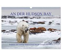 AN DER HUDSON BAY (Wandkalender 2026 DIN A3 quer), CALVENDO Monatskalender: Expedition in die kanadische Provinz Manitoba