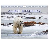 AN DER HUDSON BAY (Wandkalender 2026 DIN A4 quer), CALVENDO Monatskalender: Expedition in die kanadische Provinz Manitoba