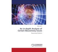 An in-depth Analysis of Certain Boussinesq Issues: Boussinesq Problems