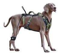ANAFNI Easy Walk - Arnés táctico Resistente sin tirones para Perros Grandes, con asa, fácil Control y Entrenamiento, Mejores Modales con Correa (Verde Musgo, Grande)