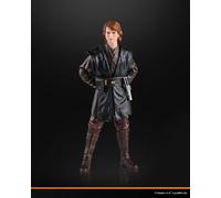 Anakin Skywalker. The Black Series. Star Wars: Revenge of the Sith