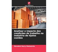 Analisar o impacto das condições de trabalho na indústria de tijolos cozidos