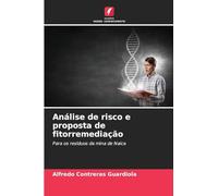 Análise de risco e proposta de fitorremediação: Para os resíduos da mina de Naica