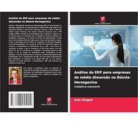 Análise do ERP para empresas de média dimensão na Bósnia-Herzegovina: Inteligência empresarial