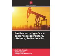Análise estratigráfica e exploração petrolífera, offshore, Delta do Nilo