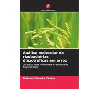 Análise molecular de rizobactérias diazotróficas em arroz: Um estudo sobre a diversidade e a eficiência da fixação do azoto