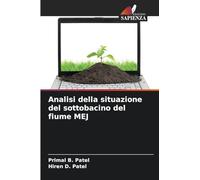 Analisi della situazione del sottobacino del fiume MEJ
