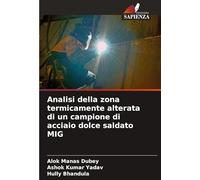 Analisi della zona termicamente alterata di un campione di acciaio dolce saldato MIG