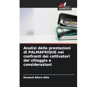 Analisi delle prestazioni di PALMAFRIQUE nei confronti dei coltivatori del villaggio e considerazioni
