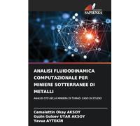 Analisi Fluidodinamica Computazionale Per Miniere Sotterranee Di Metalli: ANALISI CFD DELLA MINIERA DI TUMAD: CASO DI STUDIO
