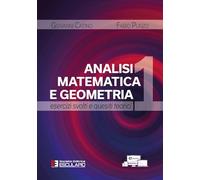 Analisi matematica e geometria 1. Esercizi svolti e quesiti teorici