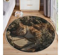 ANALTIRCE Pequeña Alfombra Salon Redonda 80 cm, Gato Naranja Flores Alfombra Dormitorio Lavable Lavadora, Campo Margaritas Alfombras Antideslizante Tapete Sala para Cocina, Halls, Balcón, Negro